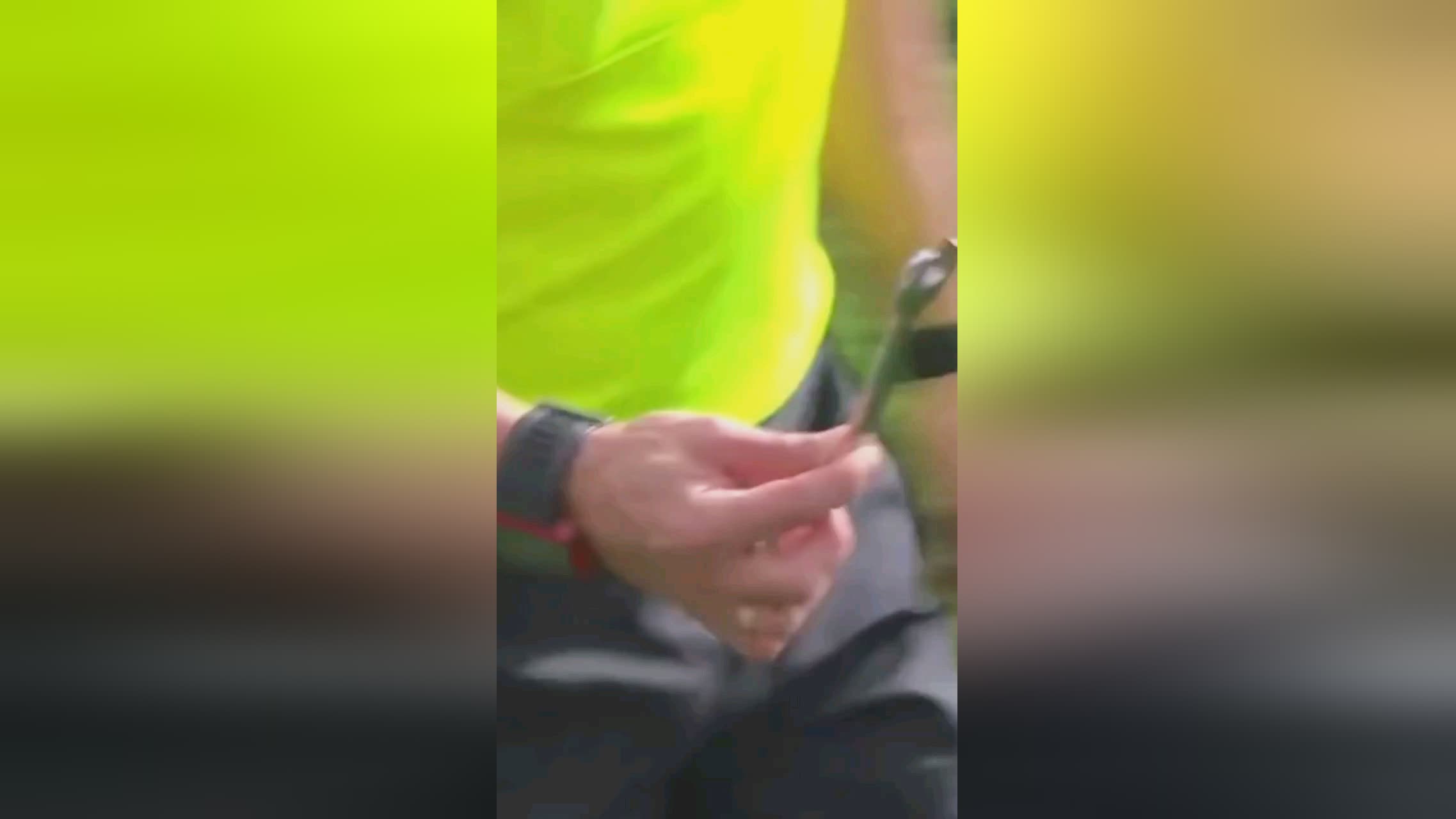 术素养心