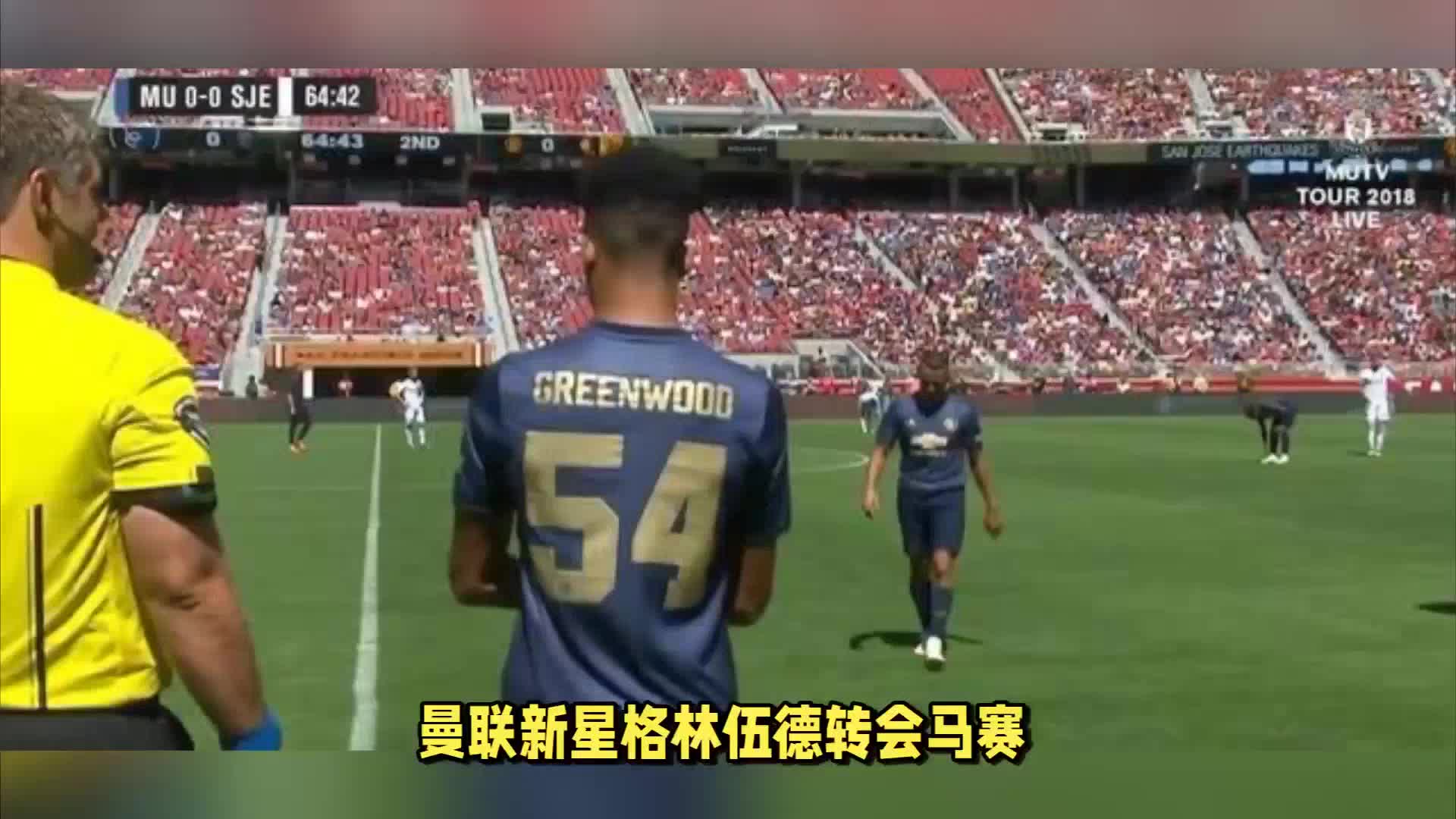 网决