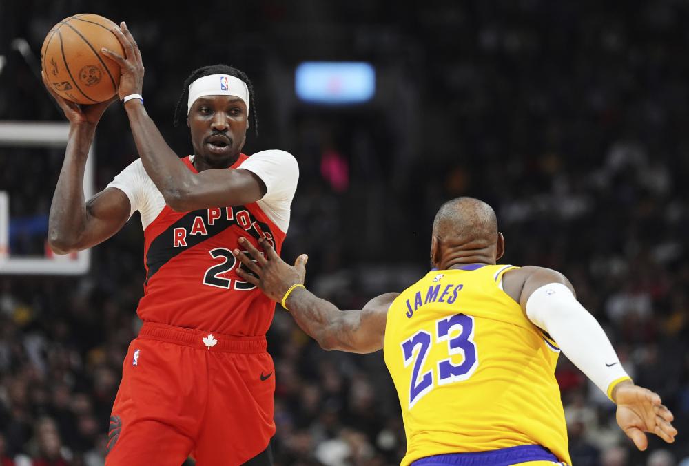 游客不仅可 游客不仅可